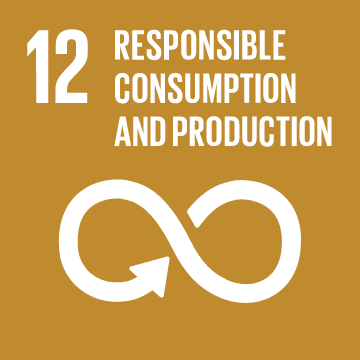 THE SUSTAINABLE DEVELOPMENT GOALS WE ARE CONTRIBUTING TO 11